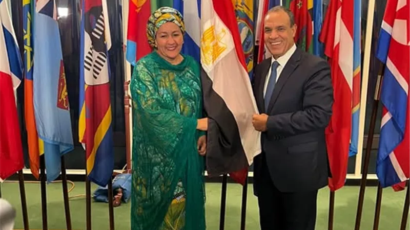 وزير الخارجية : مصر تستضيف  10 ملايين أجنبي على أراضيها