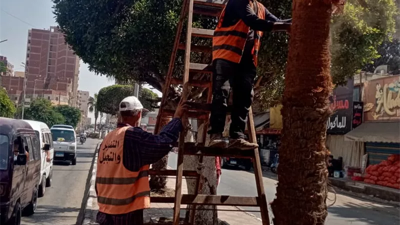 جهاز التجميل يواصل رفع كفاءة المسطحات والميادين بالإسماعيلية