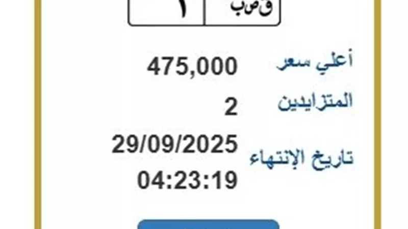 «ق ص ب 1».. لوحة معدنية مميزة بالمزاد سعرها 475 ألف جنيه