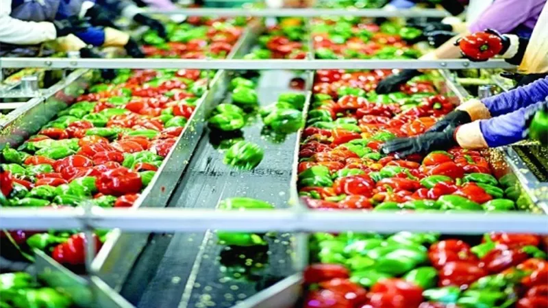 خلال 8 أشهر .. 83٪ نموًا في الصادرات الغذائية إلى كوت ديفوار 