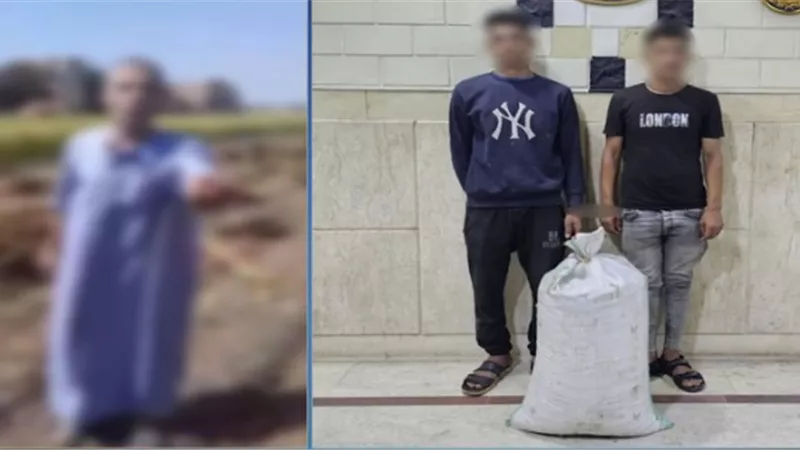 مقطع فيديو يقود لضبط المتهمين بسرقة محصول أرض زراعية بالشرقية