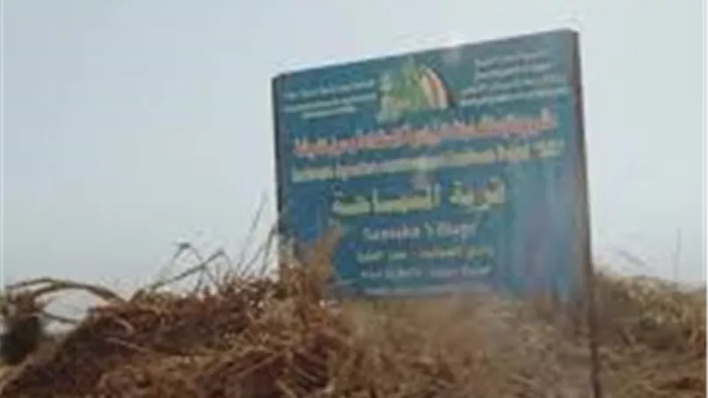 القضاء على تجار الكيف في صعايدة إدفو.. الأمن ينجح في تصفية 5 عناصر إجرامية في وكر مخدرات بأسوان