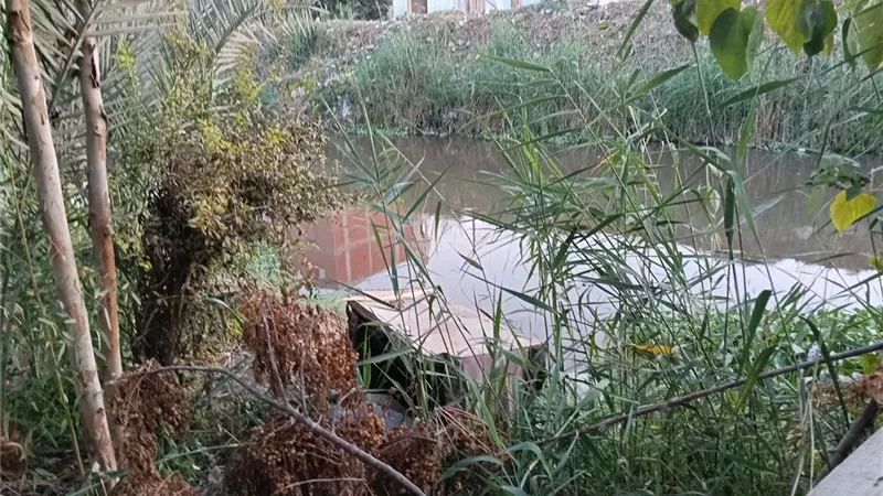 مصرع فتاة بلدغة ثعبان داخل دورة مياه يثير الذعر بعزبة في الشرقية