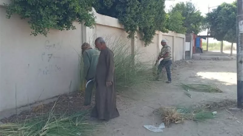 تنفيذ حملة نظافة مكبرة بمنطقة المساكن الشعبية بمدينة البياضية في الأقصر |صور