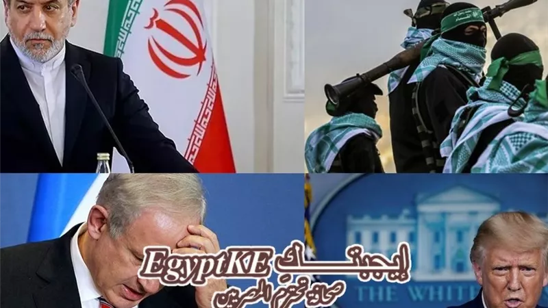 نشرة 