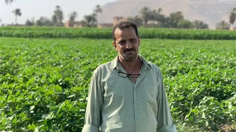  جريمة في المرج.. عامل يدفع حياته ثمنًا للدفاع عن أسرته| تفاصيل 