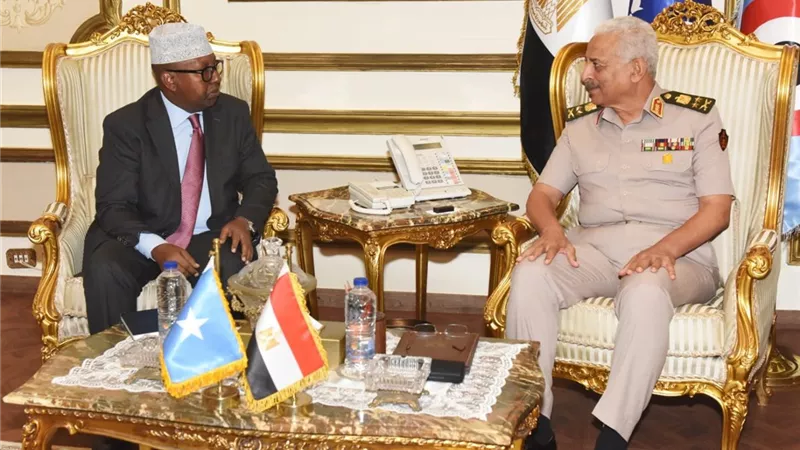 الفريق أول عبدالمجيد صقر يلتقى وزير الدفاع الصومالى