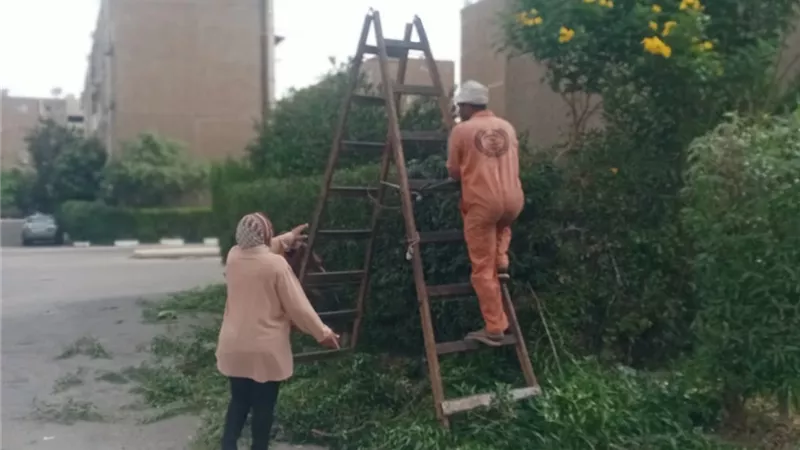 رفع كفاءة المتخللات السكنية بحي ثالث ضمن خطة تحسين البيئة بالإسماعيلية