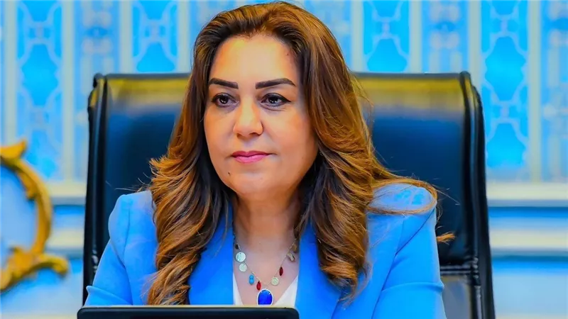 «التنمية المحلية» تتابع الموقف التنفيذي لمشروع «مصرف كيتشنر»