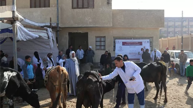 جامعة الفيوم تطلق قافلة بيطرية بخليفة يونس وتقدم العلاج لـ2833 حالة
