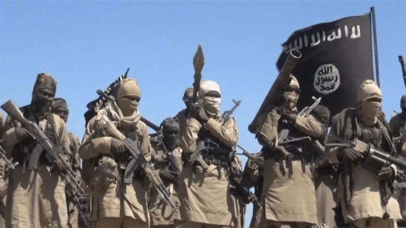 ما بعد داعش وبوكو حرام: جماعات الظل الإرهابية تتمدد في نيجيريا