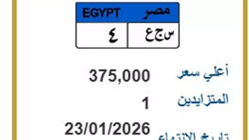 شخص واحد يشعل المزايدة على لوحة «س ج ع 4» بـ375 ألف جنيه