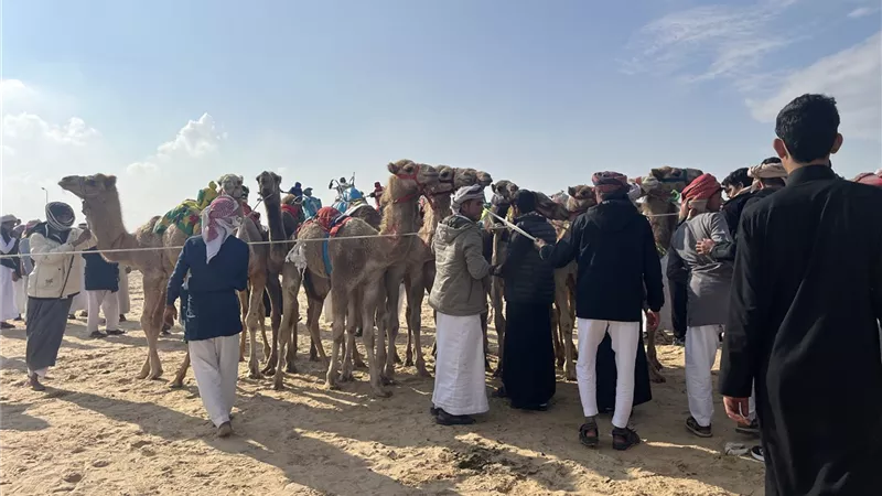 وزير الرياضة يفتتح مركز شباب الشيخ زويد.. ويشهد ختام مهرجان الهجن بالعريش