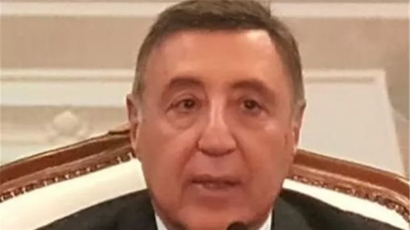 رئيس «الدستورية العليا» يبحث مع نظيره الإندونيسي تحديات القضاء الدستوري