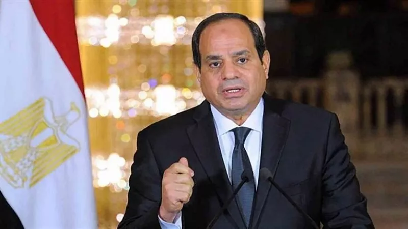 الرئيس السيسي: تدخل الميليشيات يؤدي إلى تقويض استقرار الدول|فيديو