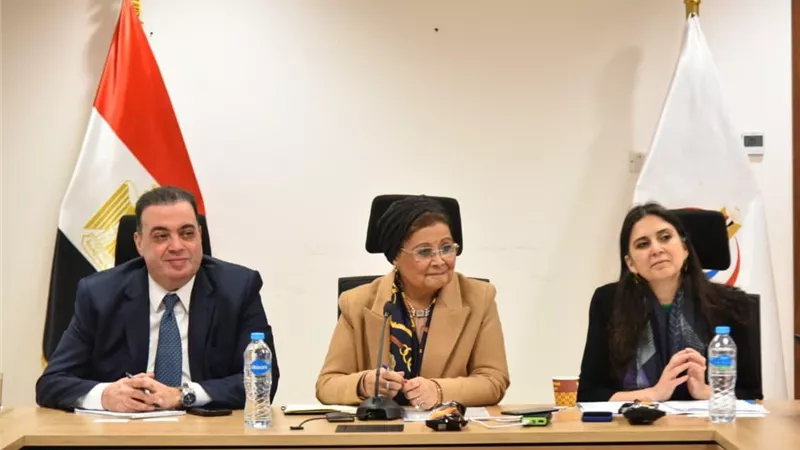 نائب وزير الصحة يترأس اجتماعا تنسيقيا لإطلاق نظام المعلومات الصحية DHIS2