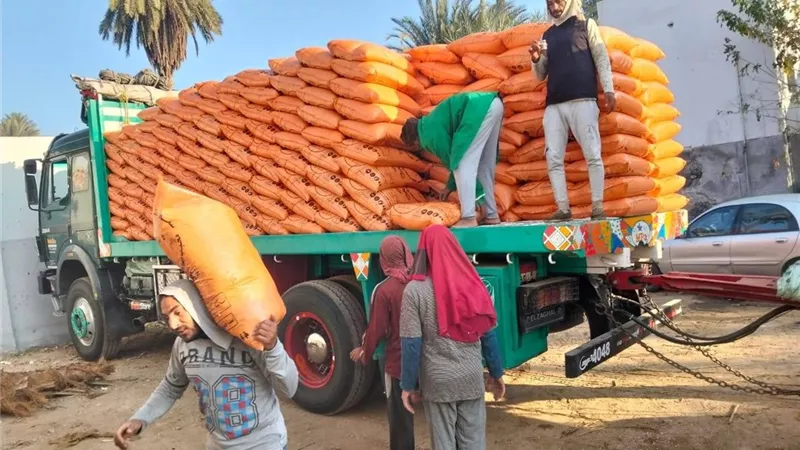 الزراعة تكثف حملاتها الرقابية للتأكد من وصول الأسمدة المدعمة في 6 محافظات