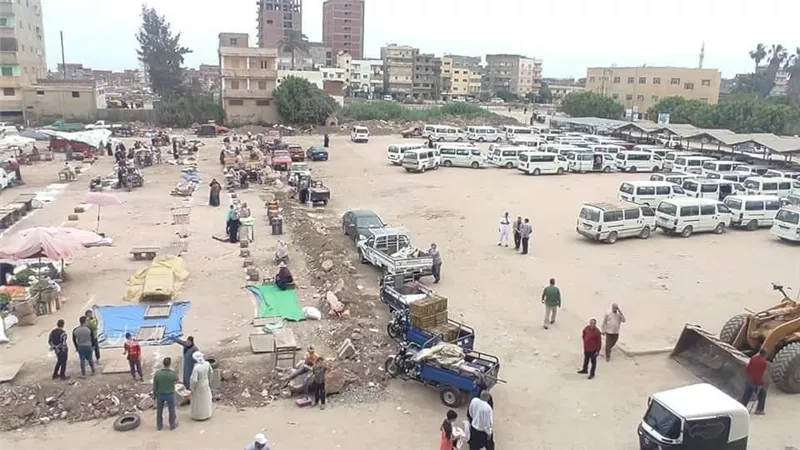 أهالي قرية الزيني بأبو حمص يطالبون محافظ البحيرة بالتدخل: 27 عزبة معزولة