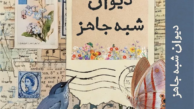 فاطمة المعمري تشارك بإصدار «ديوان شبه جائز» في معرض القاهرة الدولي للكتاب