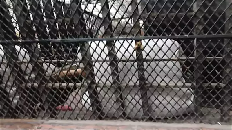 محاكمة موظفين بالقاهرة بتهمة تسهيل الاستيلاء على 24 مليون جنيه