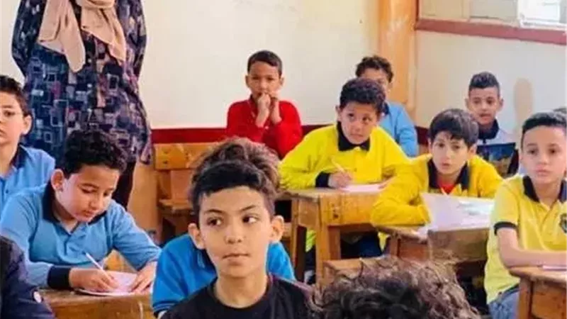 نتيجة الصف السادس الابتدائي 2026 برقم الجلوس