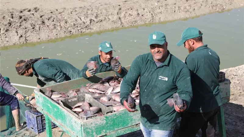 محافظ الوادى الجديد يتفقد توسعات مشروع الاستزراع السمكي لبنك الطعام