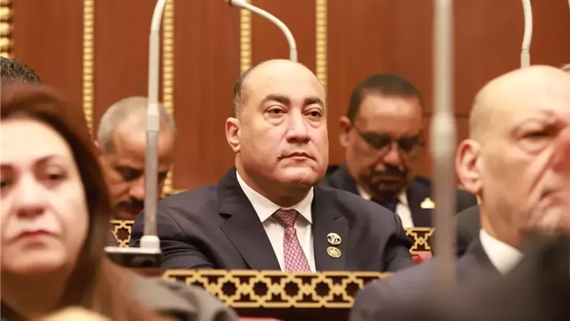 عمرو رشاد: مصر لها دورٌ محوري وتاريخي في صياغة استقرار الشرق الأوسط