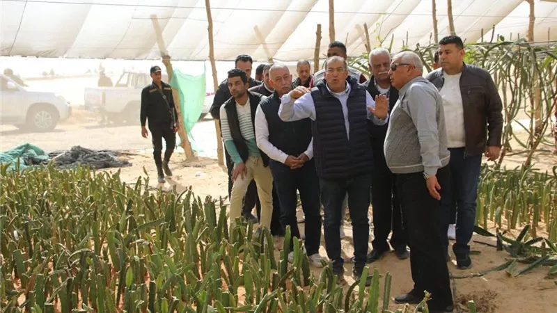محافظ الوادي الجديد يتفقّد عددًا من المشروعات الزراعية بسهل بركة