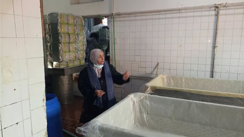 ضمن مبادرة «كوب لبن آمن ونظيف».. جولات رقابية وصحية مكثفة بكفر الشيخ