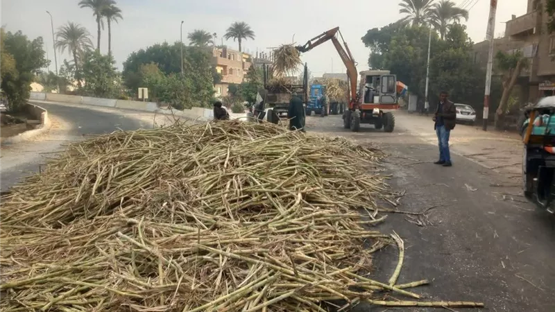 خلال ذهابهما لمصنع السكر.. انقلاب جرارين محملين بالقصب في قنا