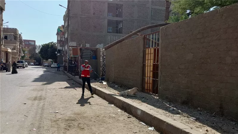 لحماية المواطنين.. تحصين 38 كلبا ضالا في قنا