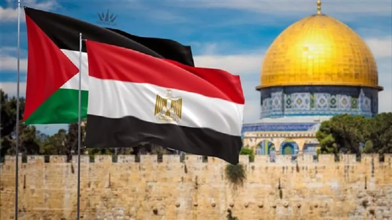 خبير علاقات دولية: القضية الفلسطينية في قلب أجندة السياسة المصرية|فيديو
