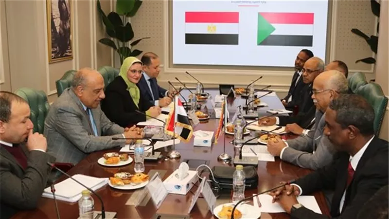 مصر والسودان تعززان التعاون في الكهرباء والطاقة المتجددة وخط الربط المشترك