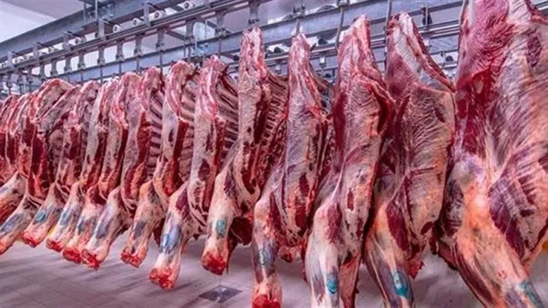 الضاني بـ 420 جنيها.. أسعار اللحوم في الأسواق المصرية اليوم الجمعة