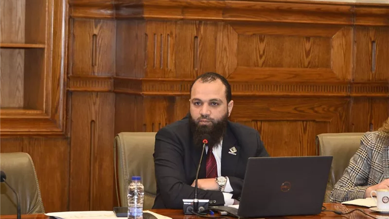 ملامح الاستراتيجية الوطنية لذوي الإعاقة.. أول دراسة برلمانية بالشيوخ