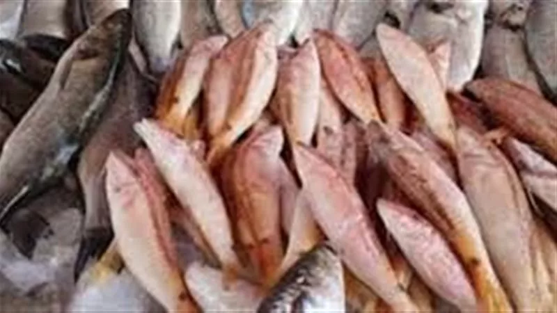 استقرار نسبي في أسعار الأسماك بأسواق المنيا اليوم الجمعة