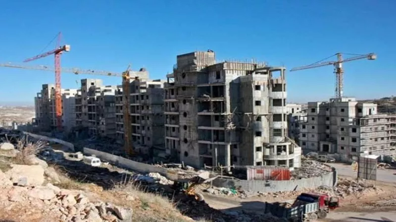 باحث سياسي: استمرار تسليح المستوطنين يفاقم أزمة فلسطين ويعطل أي خطة سلام