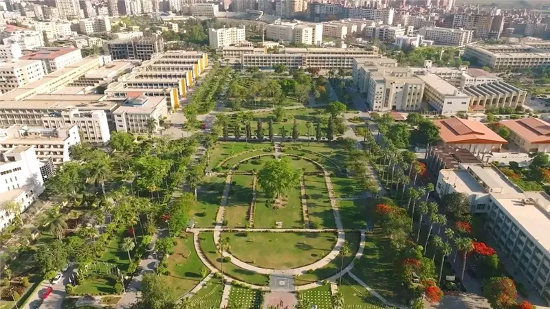 جامعة المنصورة تحتفي بنجيب محفوظ بمسابقة إبداع جامعي لطلابها 2026