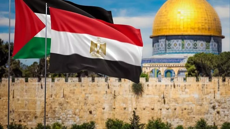 أريج جبر: مصر صمام الأمان في مواجهة محاولات تصفية القضية الفلسطينية|فيديو