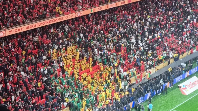 بينهم جزائري.. محاكمة 19 مشجعا بعد شغب نهائي أمم أفريقيا في المغرب