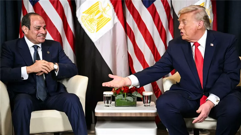 باحثة: لقاءات السيسي بدافوس أبرزت حجم الوفاق بين القاهرة وواشنطن|فيديو