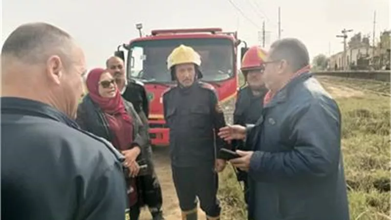 لجنة عاجلة لمعاينة محطة قرية الجميزة بعد انتشار الثعابين والحشائش