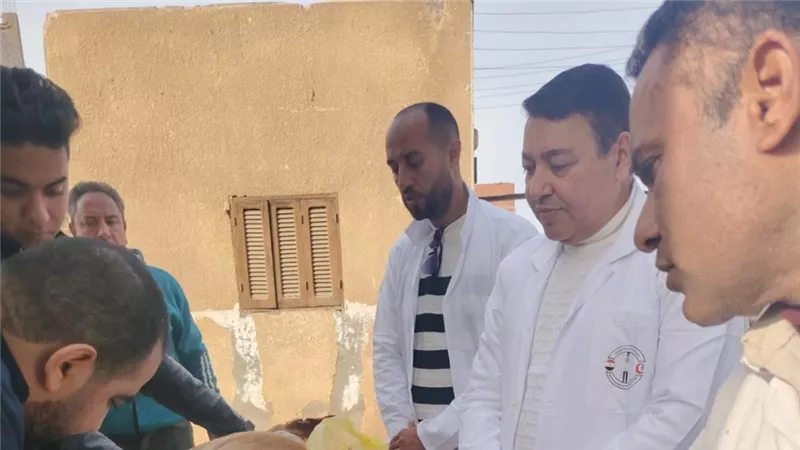 «الزراعة»: تكثيف حملات تحصين وتعقيم كلاب الشوارع لمكافحة السعار