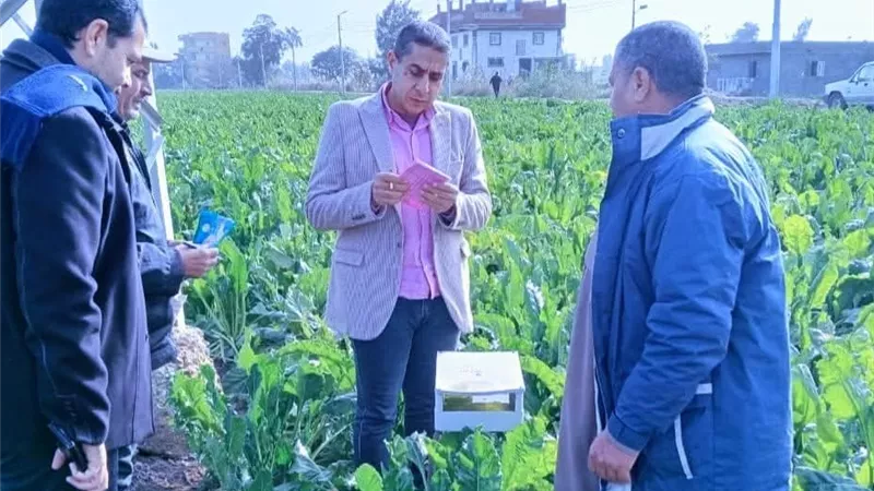 وكيل وزارة الزراعة بكفر الشيخ يتفقد الزراعات الشتوية وتوزيع الأسمدة