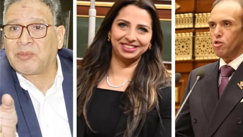 زلزال جمركي.. نواب يرفضون معاقبة المواطن لحماية منتج غير تنافسي|تقرير