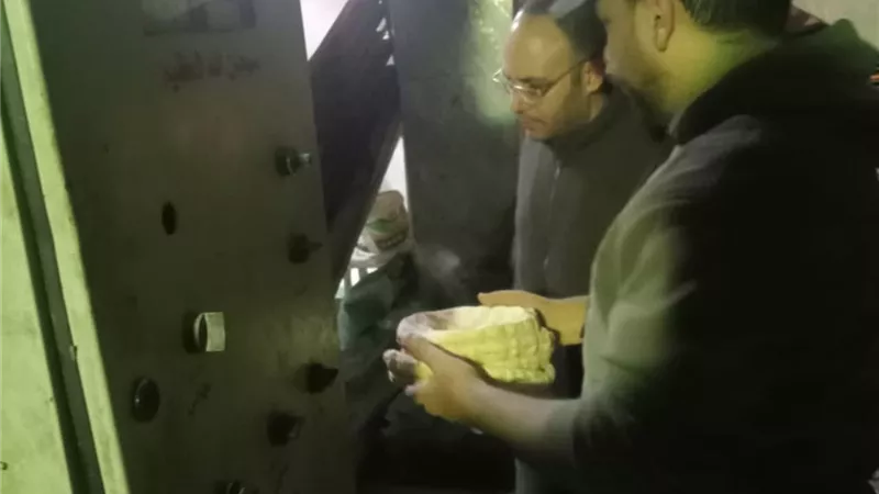 محافظ كفر الشيخ: تحرير 20 محضرا بمخالفات تموينية في الرياض