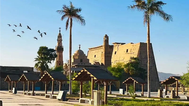 تفاصيل طقس اليوم في الأقصر.. شديد البرودة ليلا
