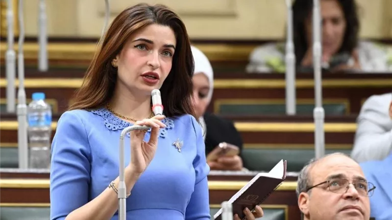 إيرين سعيد: تسجيل الدواء والرقابة أهم من فرض الرسوم