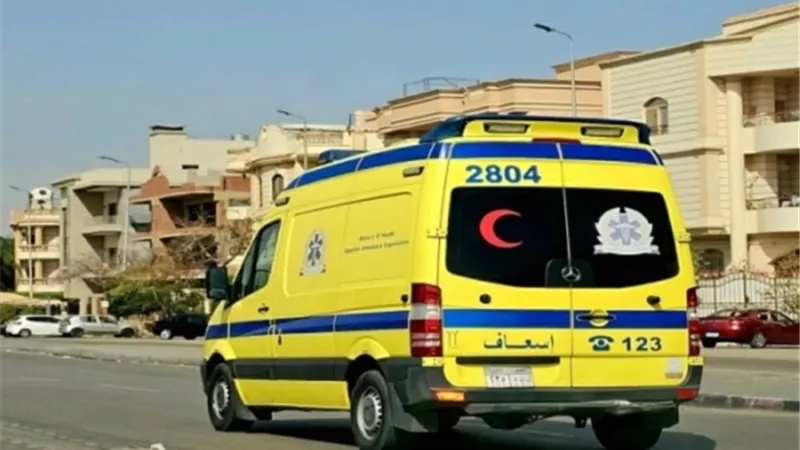 «قتلتها غسالة».. مصرع ربة منزل صعقًا بالكهرباء في العدوة بالمنيا
