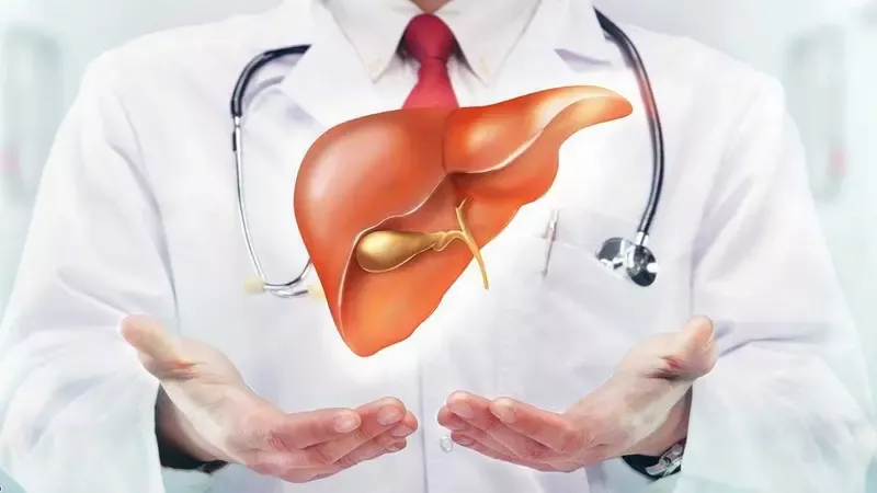 هل يهدد «الكيتو دايت» صحة الكبد؟.. دراسة تحذّر من مخاطر محتملة 